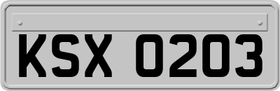 KSX0203