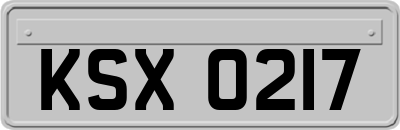 KSX0217