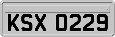 KSX0229