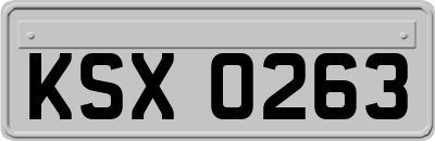 KSX0263