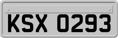 KSX0293