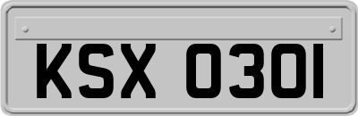 KSX0301