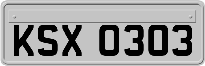 KSX0303