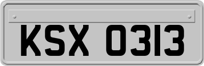 KSX0313