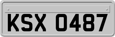 KSX0487