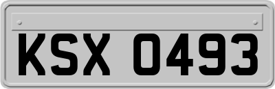 KSX0493