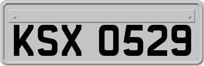 KSX0529