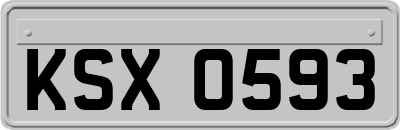 KSX0593