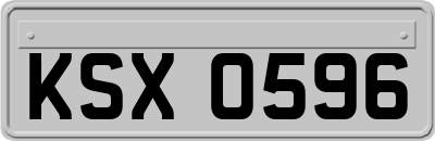KSX0596