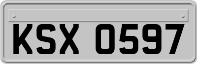 KSX0597