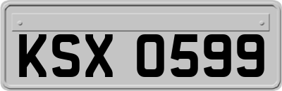 KSX0599