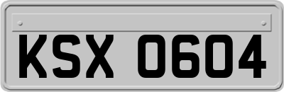 KSX0604