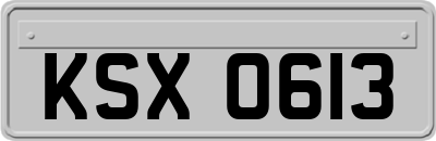 KSX0613