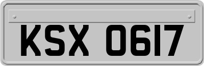 KSX0617