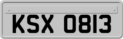 KSX0813
