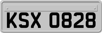 KSX0828