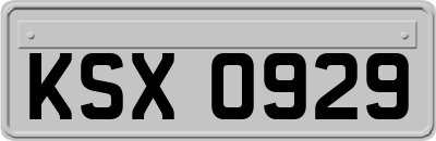 KSX0929
