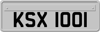 KSX1001