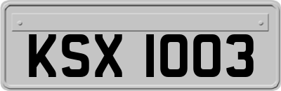 KSX1003