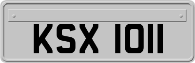 KSX1011