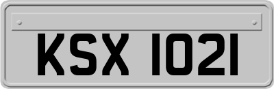KSX1021