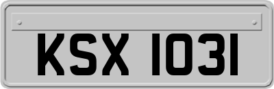 KSX1031