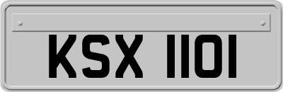 KSX1101