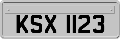 KSX1123