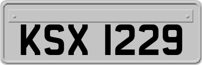 KSX1229