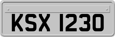 KSX1230