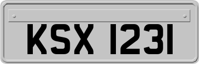 KSX1231