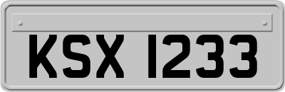 KSX1233