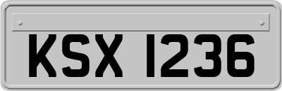 KSX1236