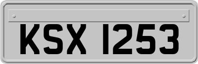 KSX1253