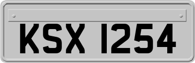 KSX1254