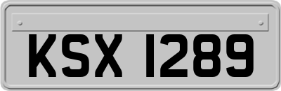 KSX1289