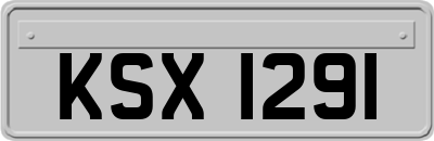 KSX1291