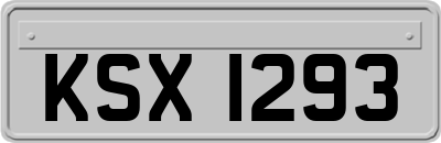 KSX1293