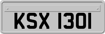 KSX1301