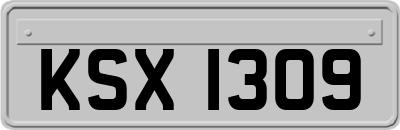 KSX1309