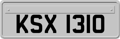 KSX1310