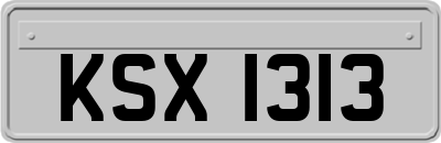 KSX1313