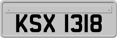 KSX1318