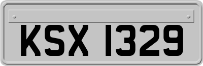 KSX1329