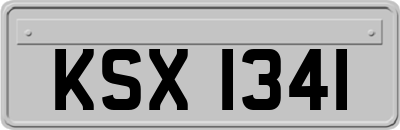 KSX1341