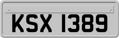 KSX1389