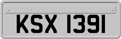 KSX1391