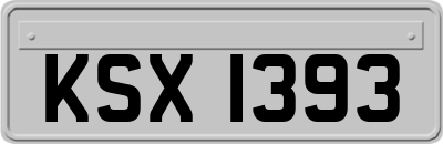 KSX1393