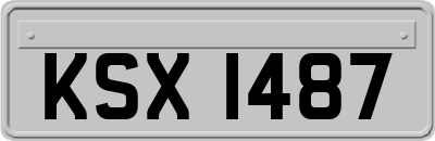 KSX1487