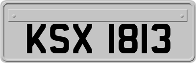 KSX1813